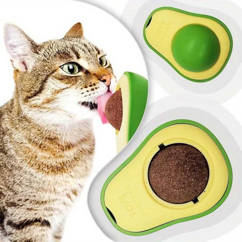 ​Boule d'herbe à chat murale
