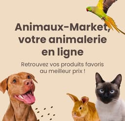Animalerie